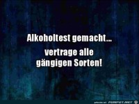 Alkoholtest