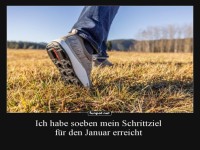 Ich habe soeben mein Schrittziel fr den Januar erreicht