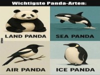 Vier humorvolle Arten von 'Pandas'