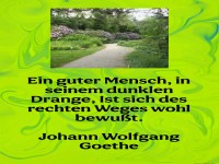 ein guter mensch in