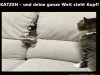weiter
