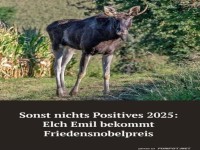 Emil der Elch: Friedensbotschafter 2025!