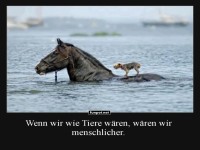 Tierische Rettung in freier Wildbahn