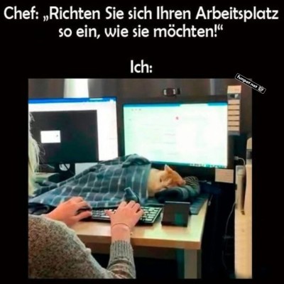 Maximaler-Komfort-bei-der-Arbeit.jpg von Mattis