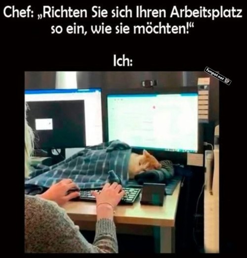 Maximaler-Komfort-bei-der-Arbeit.jpg auf www.funpot.net