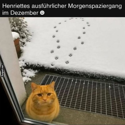 Katzenspuren-oder-doch-Pfoten-Shortcuts?.jpg von Ida-1969