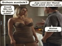 Hund ohne Leine: Ein neues Abenteuer