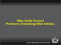 Was hei�t Puma?