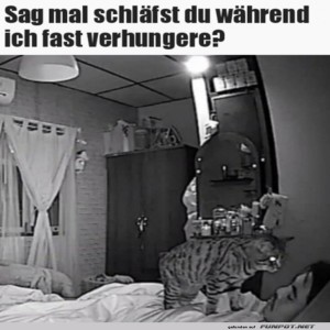 Ich-verhungere-fast.jpg von Schwesterchen