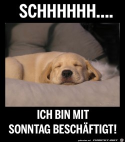 Sonntag.jpg auf www.funpot.net