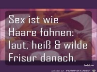 Sex ist wie Haare foehnen