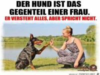 der Hund