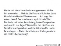 heute mit Hund im Arbeitsamt gewesen.......