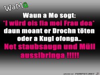 net staubsaugn