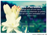 das-paradies-hermann-hesse-mein-papa-sagt:.........