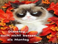 Dienstag