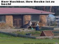 Die Hecke ist zu hoch