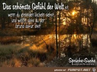 Das schnste Gefhl der Welt