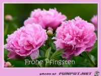 Sch�ne Pfingsten