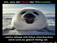 ich aus der Sicht der Mikrowelle