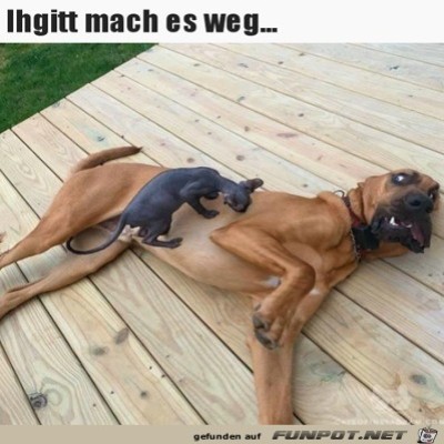 Mach-das-weg.jpg von Sokan