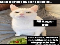 Man bereut es erst mittags