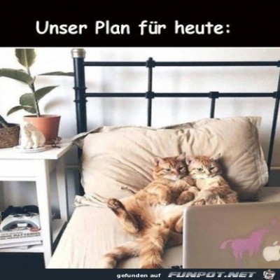 Super-Plan.jpg von SWolle