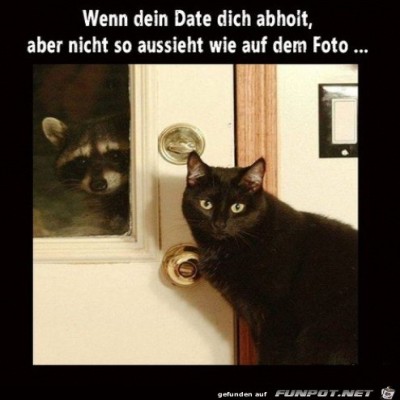 Date-sieht-nicht-aus-wie-auf-dem-Foto.jpg von Marleen