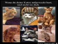 Das geht natrlich gar nicht