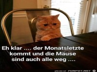 Alle M�use sind weg