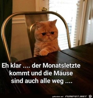 Alle-Muse-sind-weg.jpg auf www.funpot.net