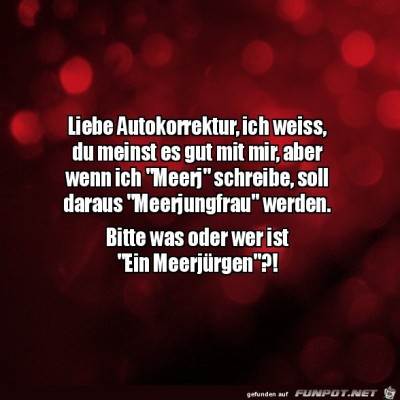 Die-Autokorrektur.jpg von Sweetheart