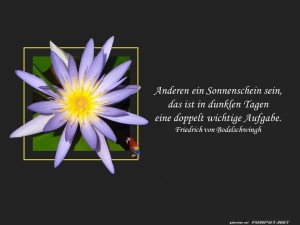 herz-Bild: Ein Sonnenschein sein
