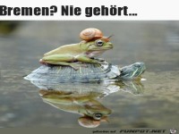 Nie was von Bremen geh�rt