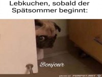 Lebkuchen im Sp�tsommer