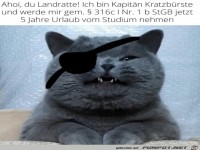 Kapit�n Kratzb�rste