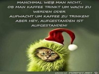 Hauptsache aufgestanden