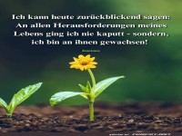 Ich kann heute rckblickend sagen