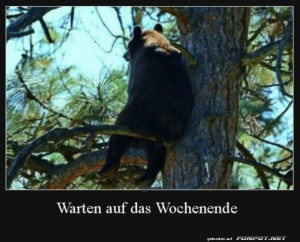 fun-Bild: Warten aufs Wochenende