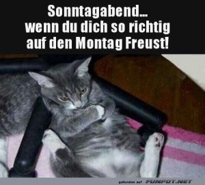 fun-Bild: Sonntagabend