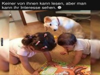 Kinder und Hund entdecken ein Buch