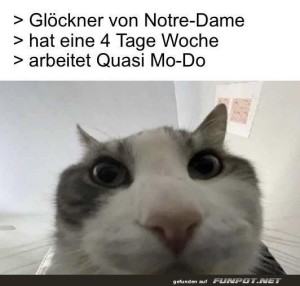 Katze-macht-Witz-ber-Glckner's-Arbeitswoche.jpg auf www.funpot.net