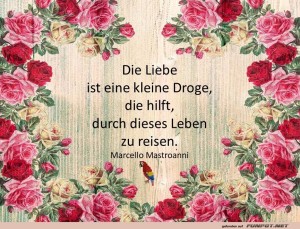 Die-Liebe-ist-eine-Droge.jpg auf www.funpot.net