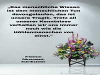 das menschliche wissen