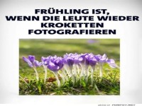 Krokus oder Kroketten? Fr�hlingsverwirrung!
