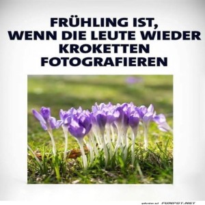 fun-Bild: Krokus oder Kroketten? Fr&uuml;hlingsverwirrung!