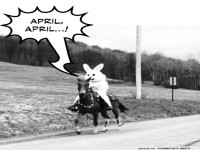 Kaninchen auf dem Pferd: April-Scherz galoppiert!