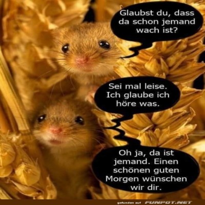 Ist-schon-jemand-wach?.jpg von Brandon