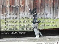Freundschaft ist...