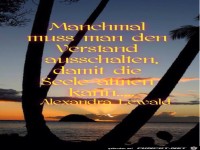 Manchmal muss man den Verstand